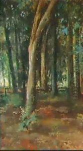 Sottobosco A Varramista by Giovanni Fattori