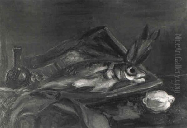 Dorade - view 1