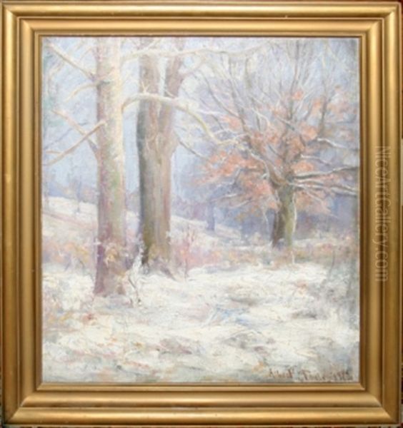 The Snow - view 1