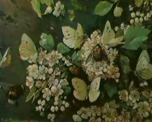 Hawthorn Blossom With A Bumble Bee, Beetle And Cabbage      White Butterflies by Richard Faulhammer