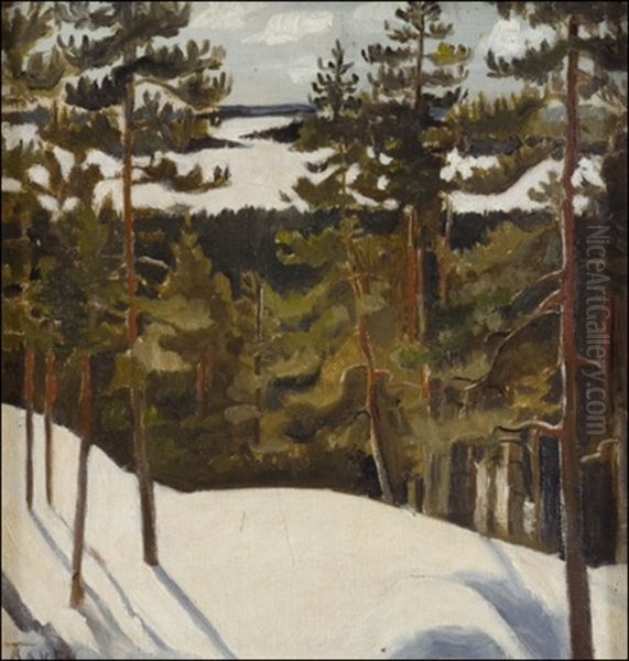 Nakoalapaikalta - view 1