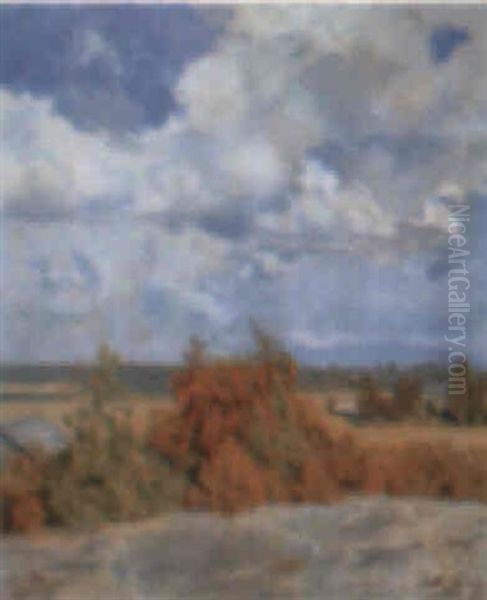 Landskap - view 1