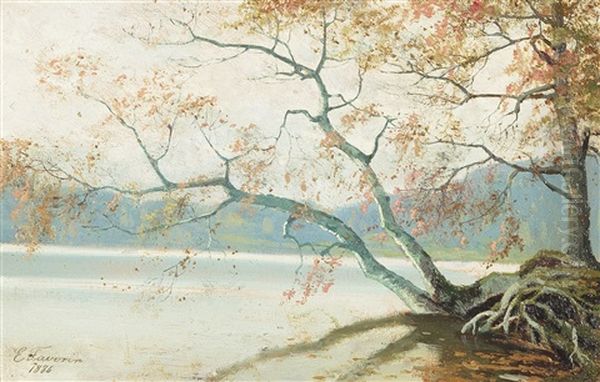 Shore Tree - view 1