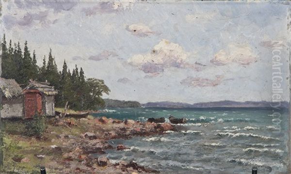 Shorescape, Aland - view 1