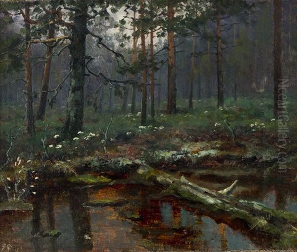 Evening Mood - view 1