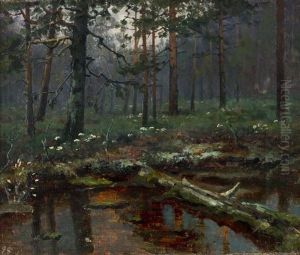 Evening Mood by Ellen Favorin