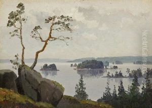 Landscape Landscape