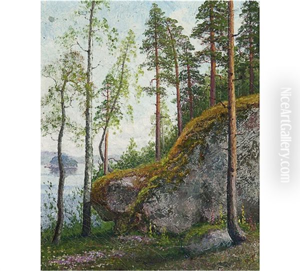 Landscape From The Lake Lohja, Finland - view 1