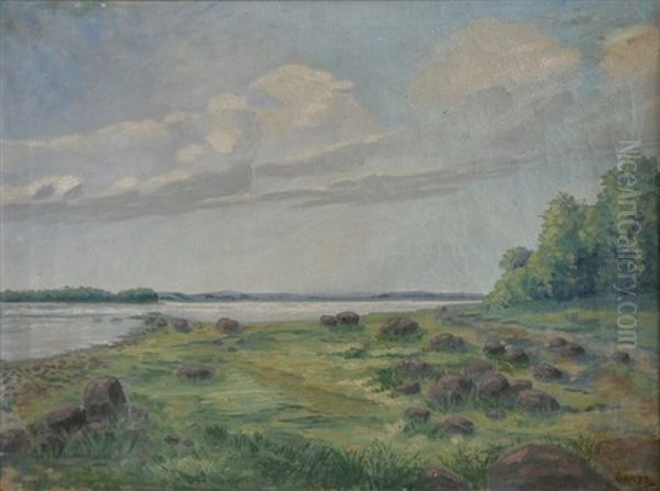 Landscape - view 1