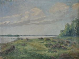 Landscape Landscape