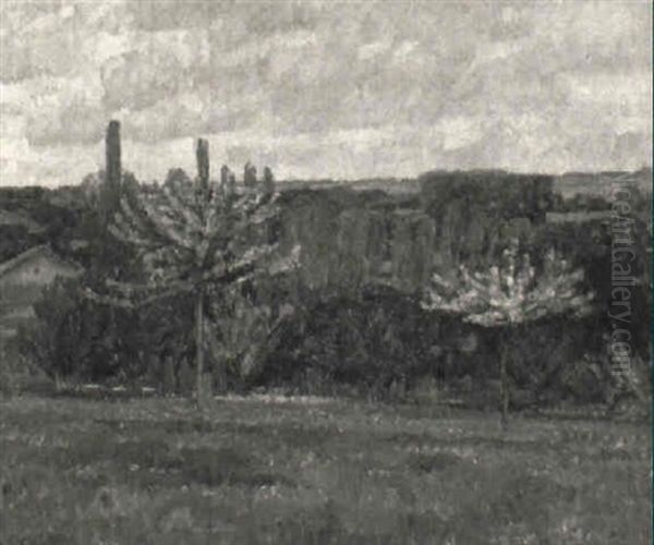 Wiese Mit Bluhenden Obstbaumen - view 1