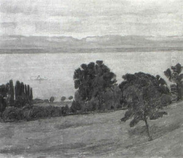 Genferseelandschaft - view 1