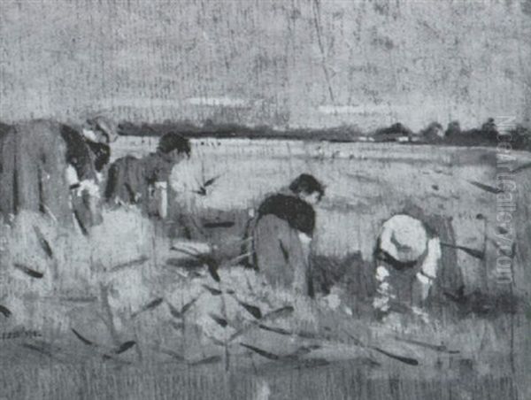 Spigolatrici - view 1