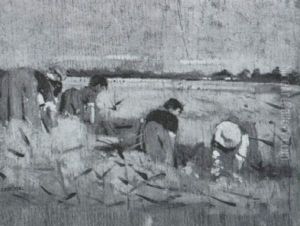 Spigolatrici