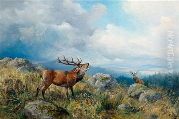 Bellowing Stag - view 1