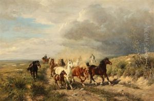 Horses And Herders