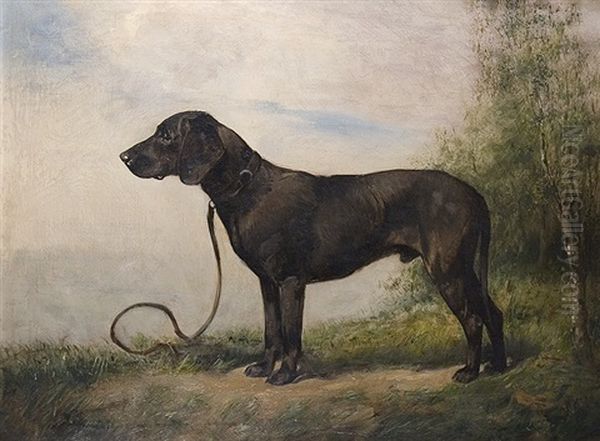 The Hound - view 1