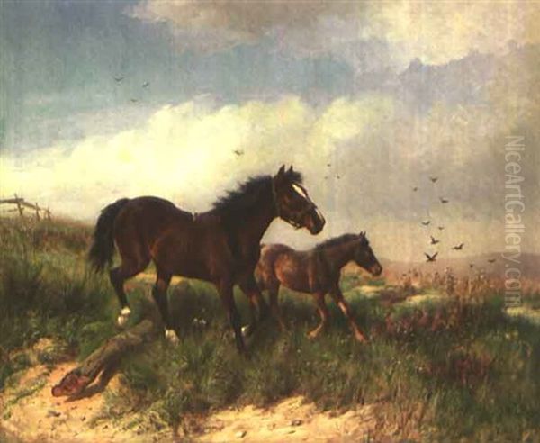 Stute Mit Fohlen Auf Der Weide - view 1