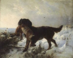 Jagdhund Im Schnee Mit Erlegtem Hasen Jagdhund Im Schnee Mit Erlegtem Hasen