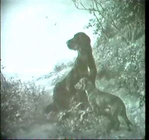 Jagdstuck. Jagdstuck.