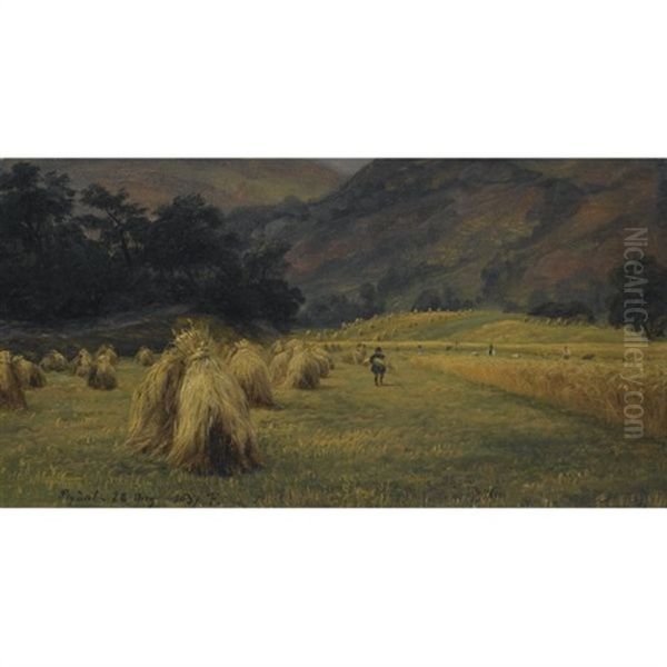 Hoystakker, Rydal, Cumbria - Haystacks, Rydal, Cumbria) - view 1