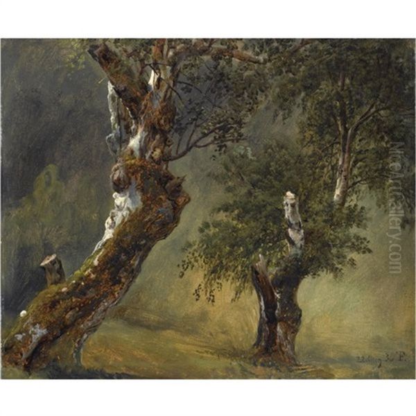 Studie Av Traer-study Of Trees - view 1