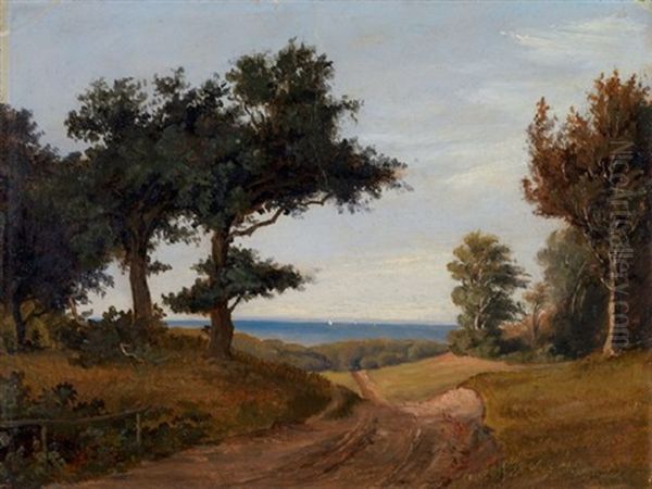 Landskap Med Vei - view 1