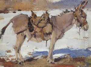 The Little Burro