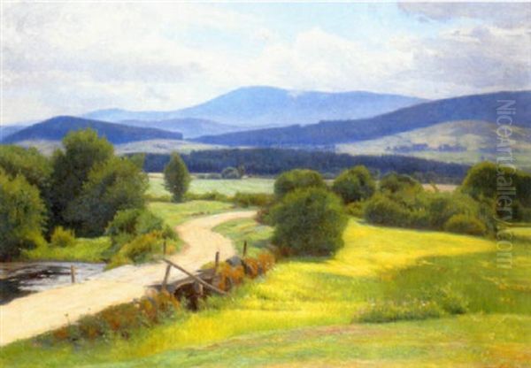Der Plockenstein Im Bohmerwald - view 1
