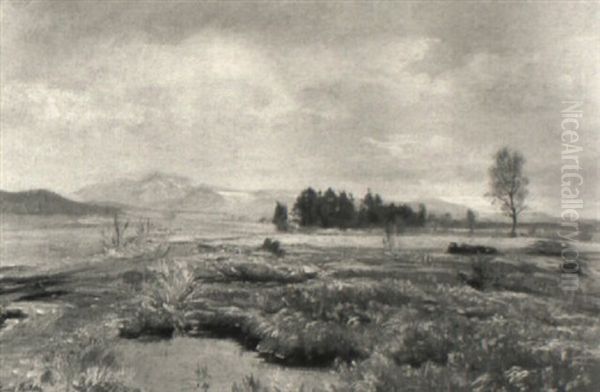 Landschaft (b"hmerwald?) - view 1