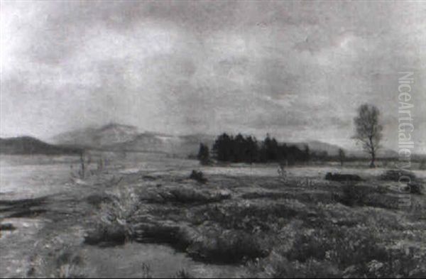 Landschaft (bei St. P"lten?) - view 1