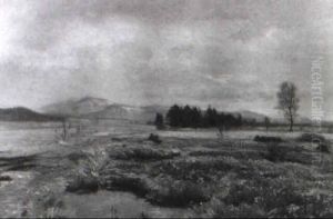 Landschaft (bei St. P"lten?)