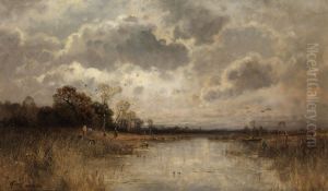 Weite Moorlandschaft