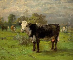 Cows Cows