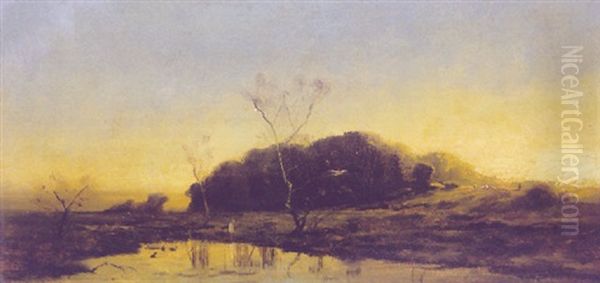 Landschaft Mit Tumpel Im Vordergrund - view 1