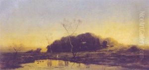 Landschaft Mit Tumpel Im Vordergrund
