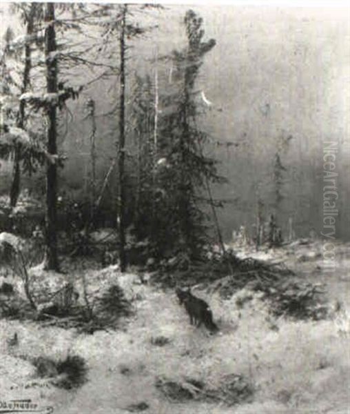 Fuchs Im Winterlichen Wald - view 1