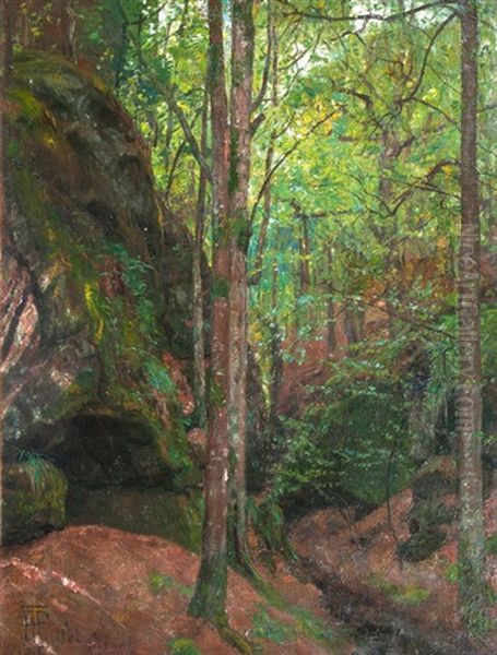 Thuringer Waldschlucht - view 1