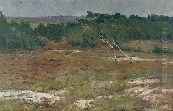 Landschaft In Nordfriesland - view 1