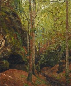 Waldinneres Mit Felsenhohle