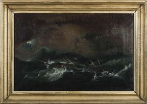 The Ship "ida Lilly" In A Hurricane, January 15th, 1868, Captain William Patterson by Carl Fedeler