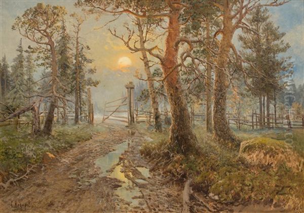 In The Forest - view 1