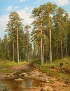 Forest Creek
