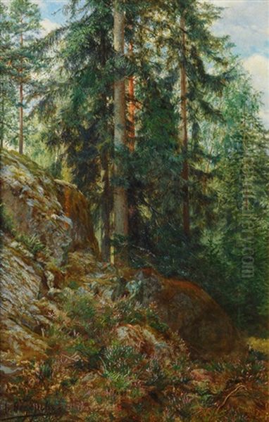 Forest Clearing - view 1