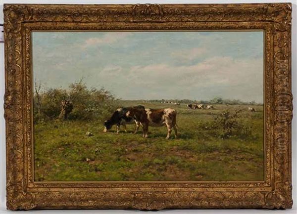 Cows In Pasture - view 1