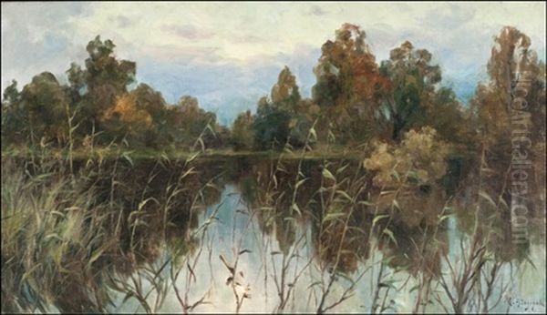 Reflections - view 1