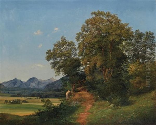 A Country Lane (salzkammergut, Austria) - view 1
