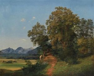 A Country Lane (salzkammergut, Austria)