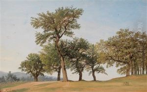 Wienerwald