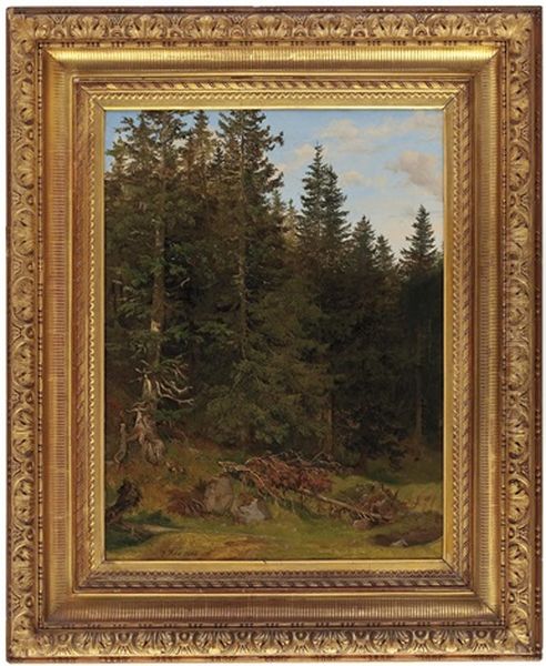 Am Waldesrand - view 1